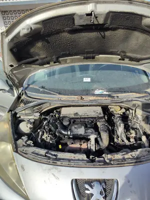 Foto de TORPEDO PEUGEOT 207 1.4 HDi (68 CV / 50 KW)