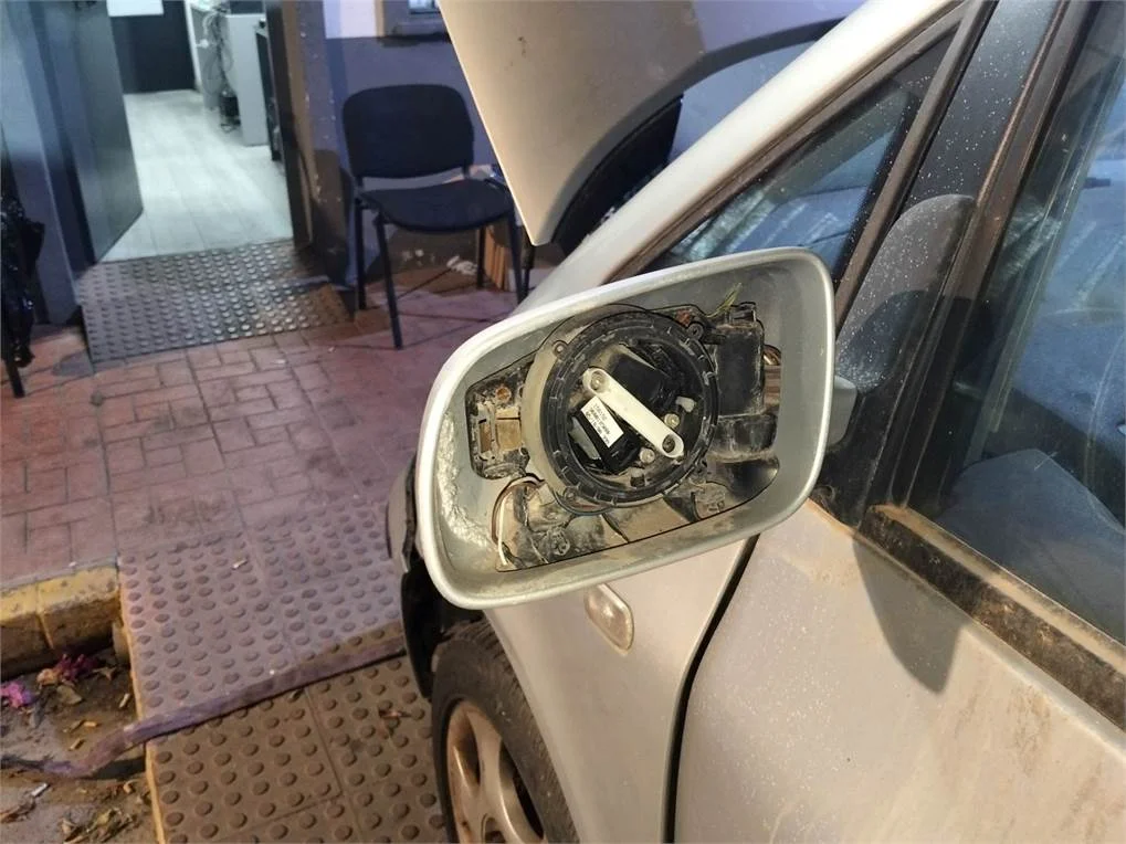 Foto de CARCASA RETROVISOR IZQUIERDO SEAT ALHAMBRA (7V9)