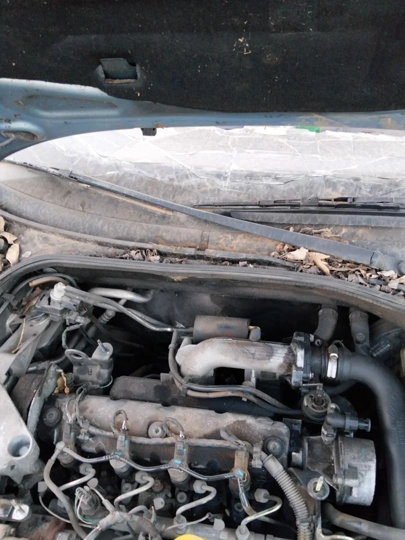 Foto de BRAZO LIMPIA DELANTERO DERECHO RENAULT LAGUNA II (BG0) 1.9 dCi Diesel CAT (101 CV / 74 KW) referencia 7701056394