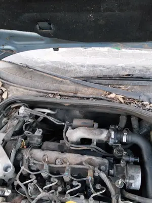 Foto de BRAZO LIMPIA DELANTERO DERECHO RENAULT LAGUNA II (BG0) 1.9 dCi Diesel CAT (101 CV / 74 KW) referencia 7701056394