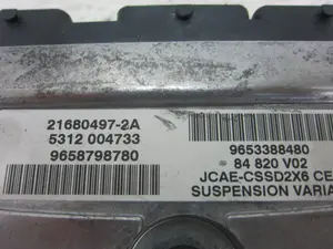 Foto de CENTRALITA SUSPENSION PEUGEOT 407 COUPÉ 2.7 HDi FAP CAT (UHZ / DT17TED4) (204 CV / 150 KW) referencia 216804972A foto 7