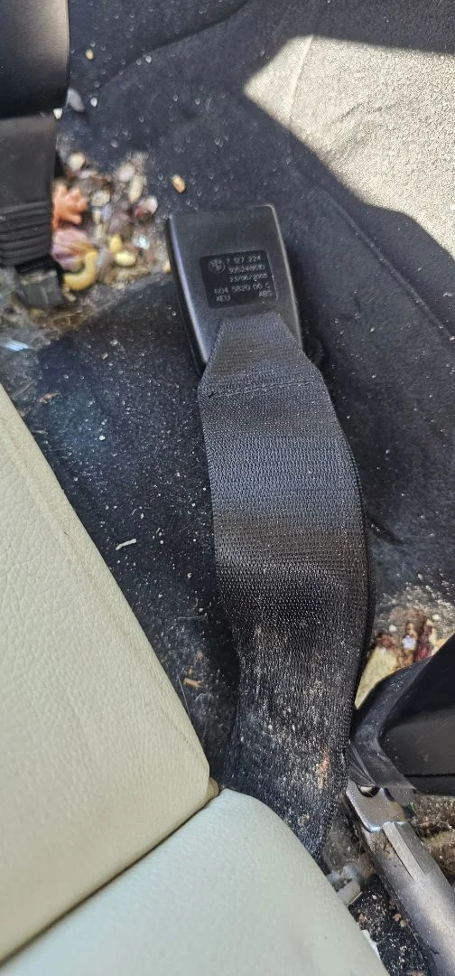 Foto de ENGANCHE CINTURON TRASERO CENTRAL BMW SERIE 3 BERLINA (E90) 2.0 CAT (129 CV / 95 KW)
