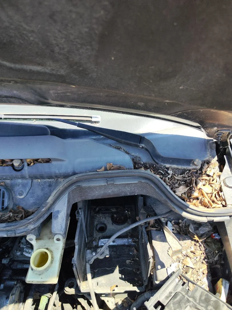 Foto de BRAZO LIMPIA DELANTERO IZQUIERDO FORD FOCUS C-MAX (CAP)(2003) 1.6 TDCi CAT (90 CV / 66 KW)