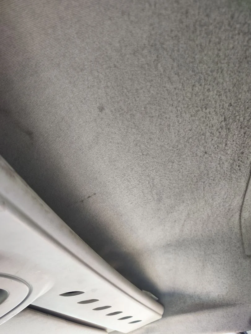Foto de TECHO INTERIOR FIAT I SCUDO (222) 2.0 JTD CAT (94 CV / 69 KW) referencia 9790332365