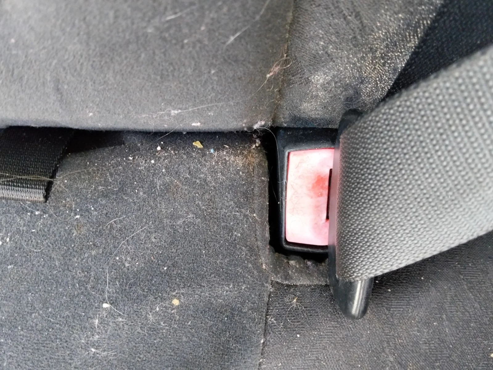Foto de ENGANCHE CINTURON TRASERO IZQUIERDO FORD FOCUS BERLINA (CAK) 1.6 16V CAT (101 CV / 74 KW)
