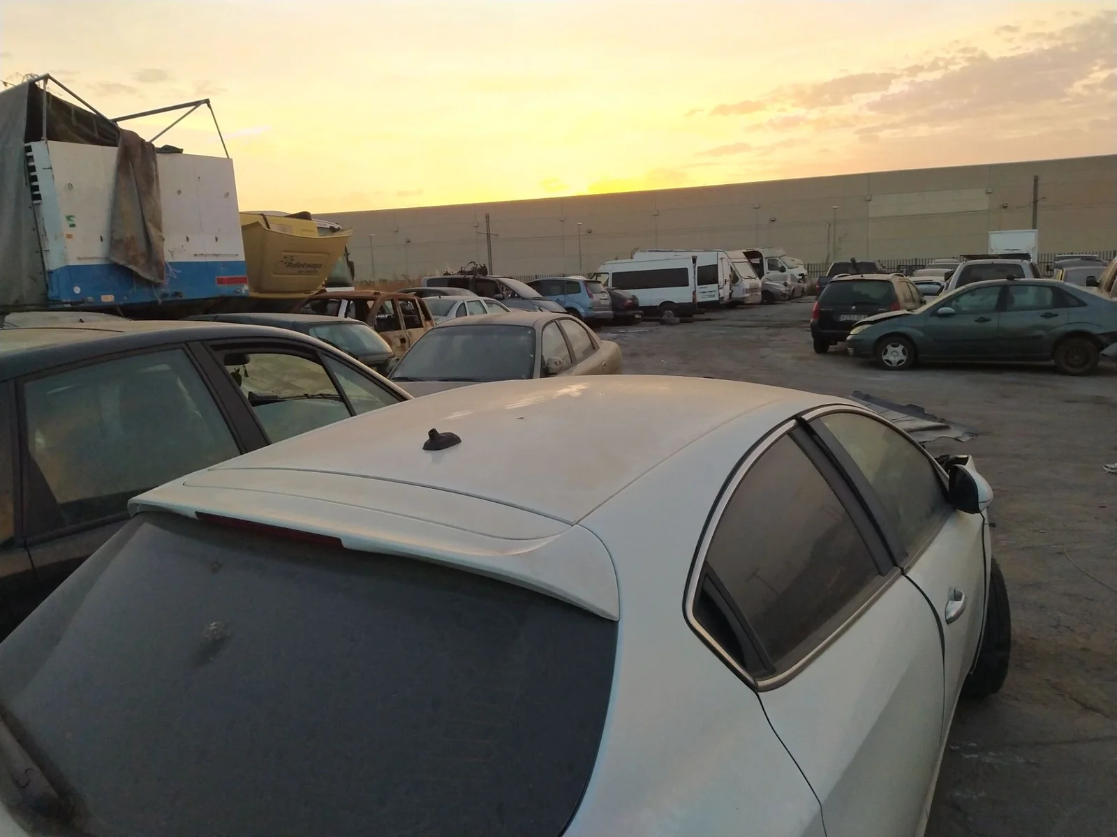 Foto de BASE DE ANTENA ALFA ROMEO GIULIETTA (191) 1.6 JTDM CAT (105 CV / 77 KW) referencia 0050528249