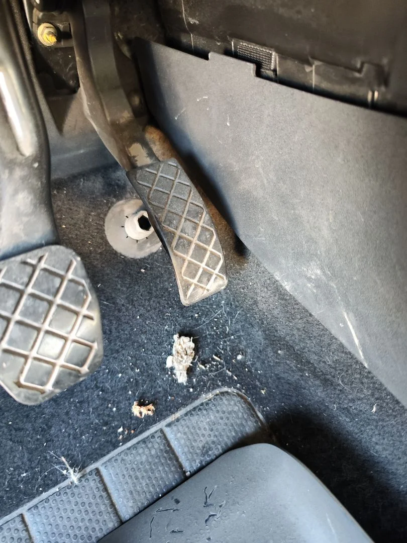 Foto de POTENCIOMETRO PEDAL SEAT CORDOBA BERLINA (6L2) 1.4 16V (75 CV / 55 KW)