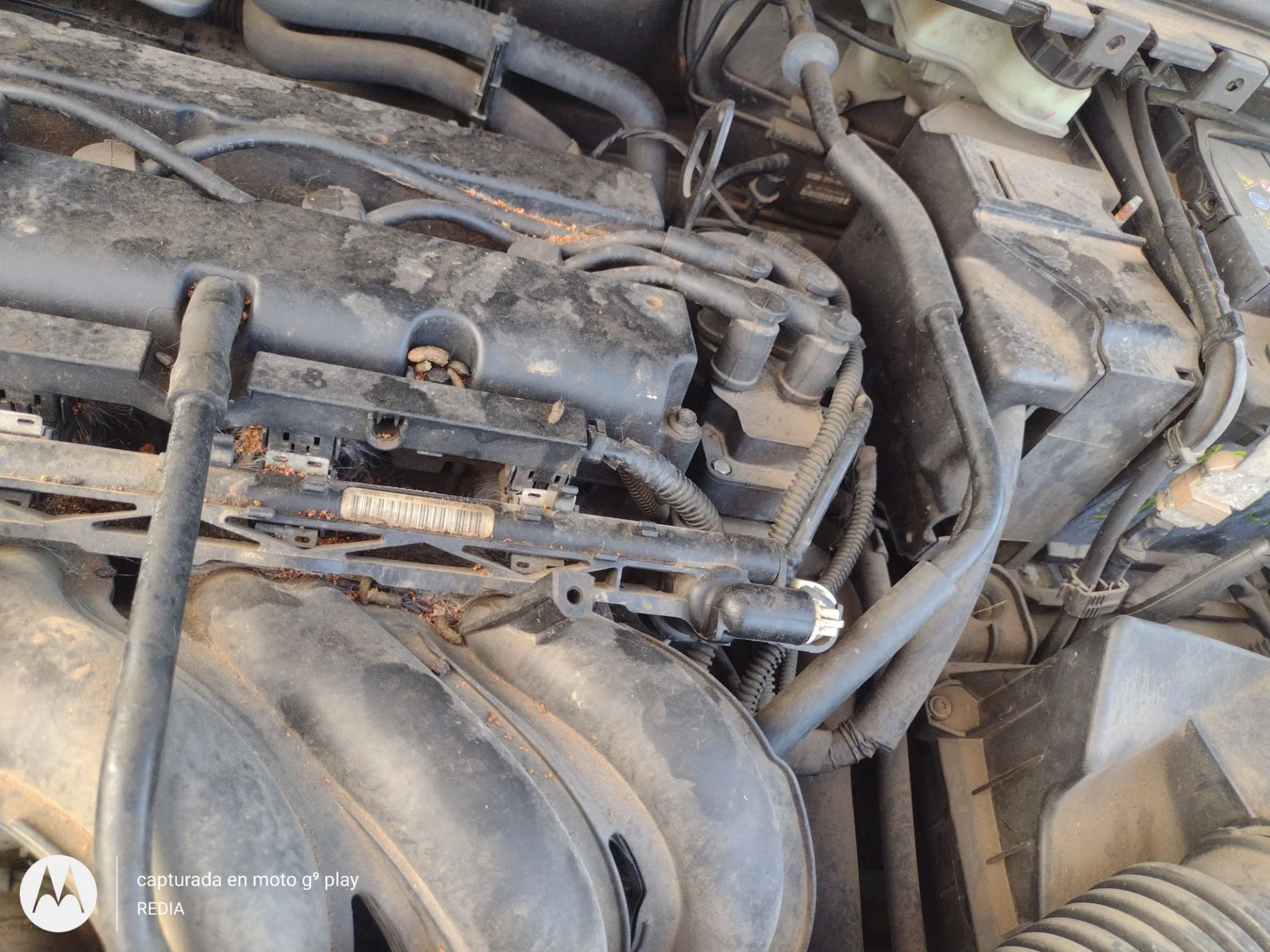 Foto de CENTRALITA MOTOR UCE FORD FOCUS SPORTBREAK (CAP) 1.6 16V CAT (101 CV / 74 KW) referencia 1333603