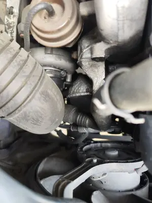 Foto de COMPRESOR AIRE ACONDICIONADO VOLKSWAGEN PASSAT BERLINA (3B3) 1.9 TDI (131 CV / 96 KW) referencia 8D0260805RV foto 4