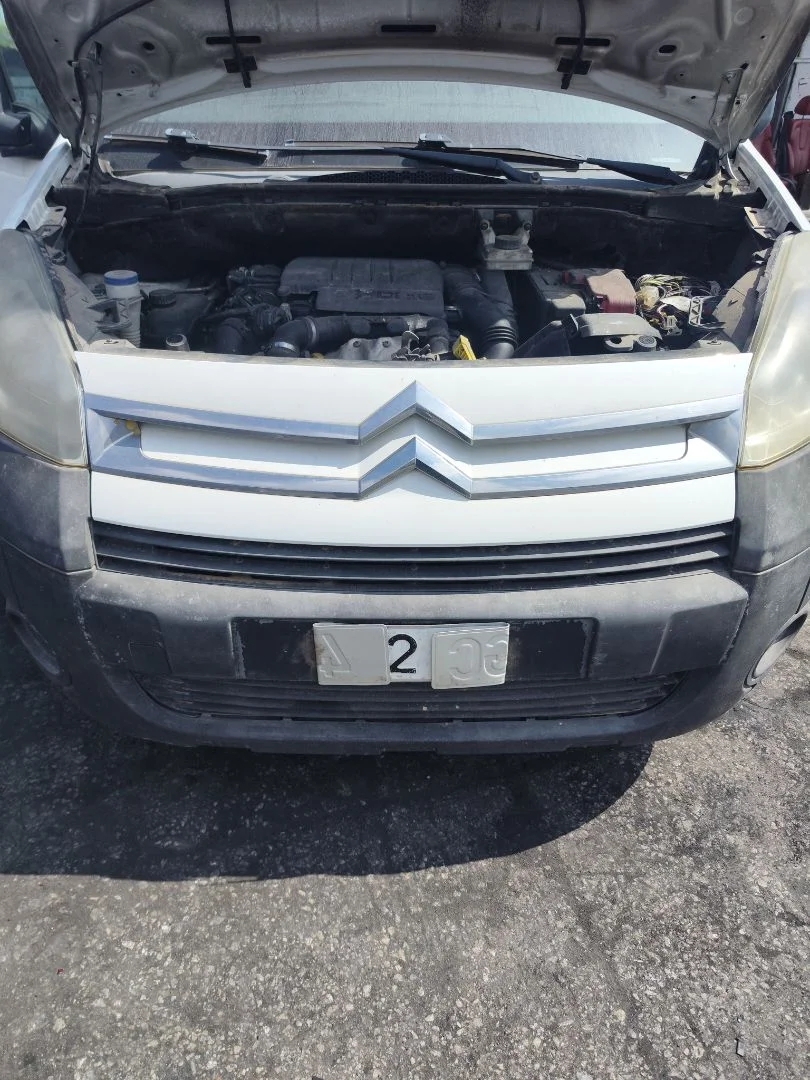 Foto de REJILLA DELANTERA CITROEN BERLINGO FURGÓN 1.6 16V HDi FAP (90 CV / 66 KW)