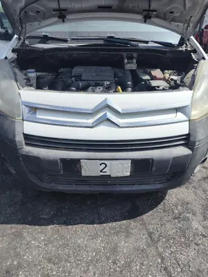 Foto de REJILLA DELANTERA CITROEN BERLINGO FURGÓN 1.6 16V HDi FAP (90 CV / 66 KW)