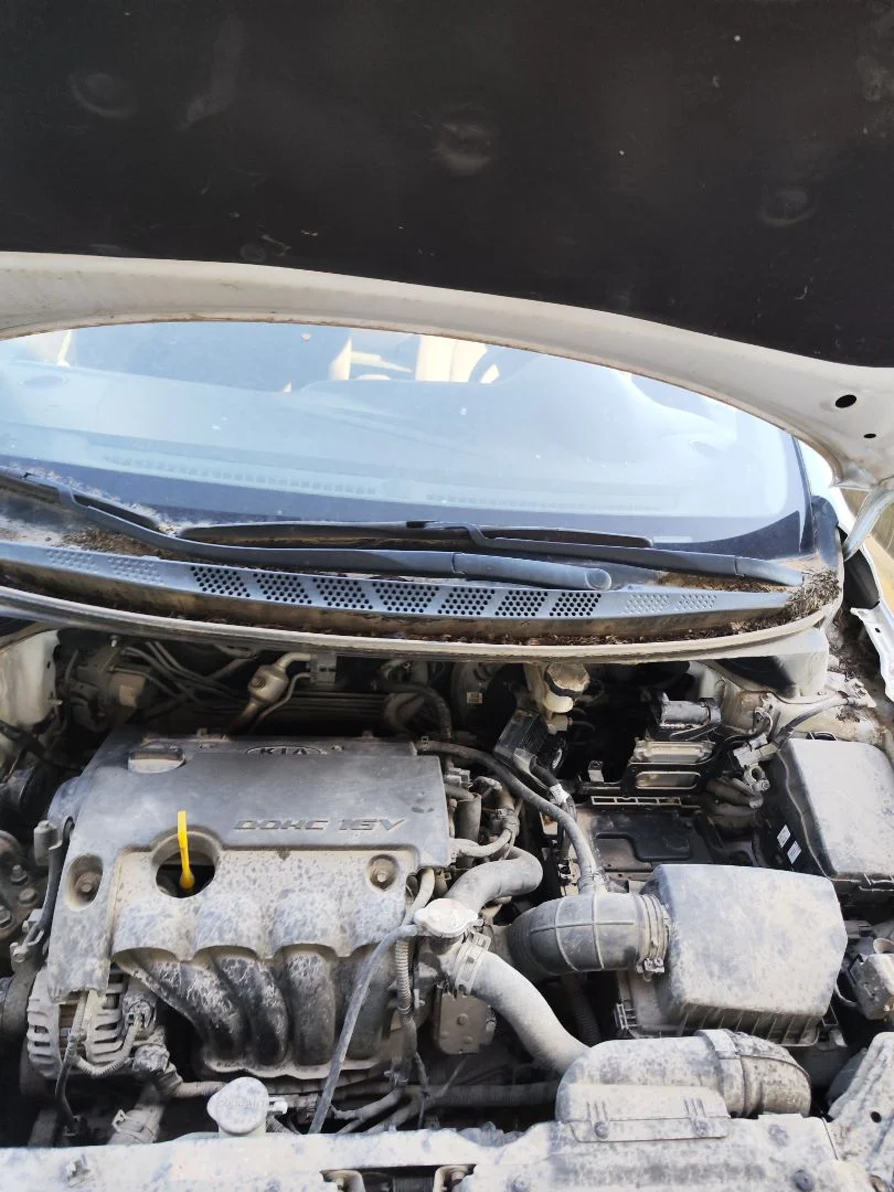 Foto de ARTICULACION LIMPIA DELANTERA KIA CEED (JD) 1.4 CAT (99 CV / 73 KW)