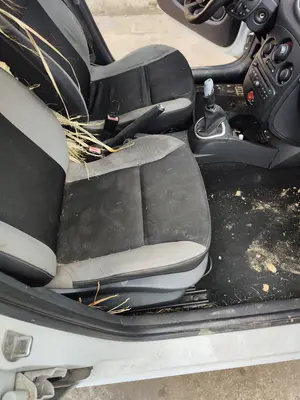 Foto de ASIENTO DELANTERO DERECHO RENAULT CLIO III 1.5 dCi Diesel FAP (75 CV / 55 KW)