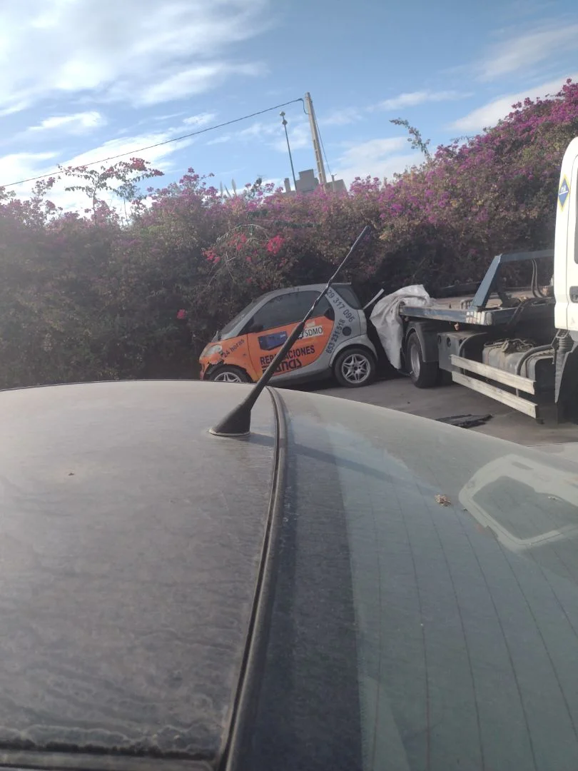 Foto de ANTENA ALFA ROMEO 159 (140) 1.9 JTD (M) 16V CAT (150 CV / 110 KW) referencia 50505286