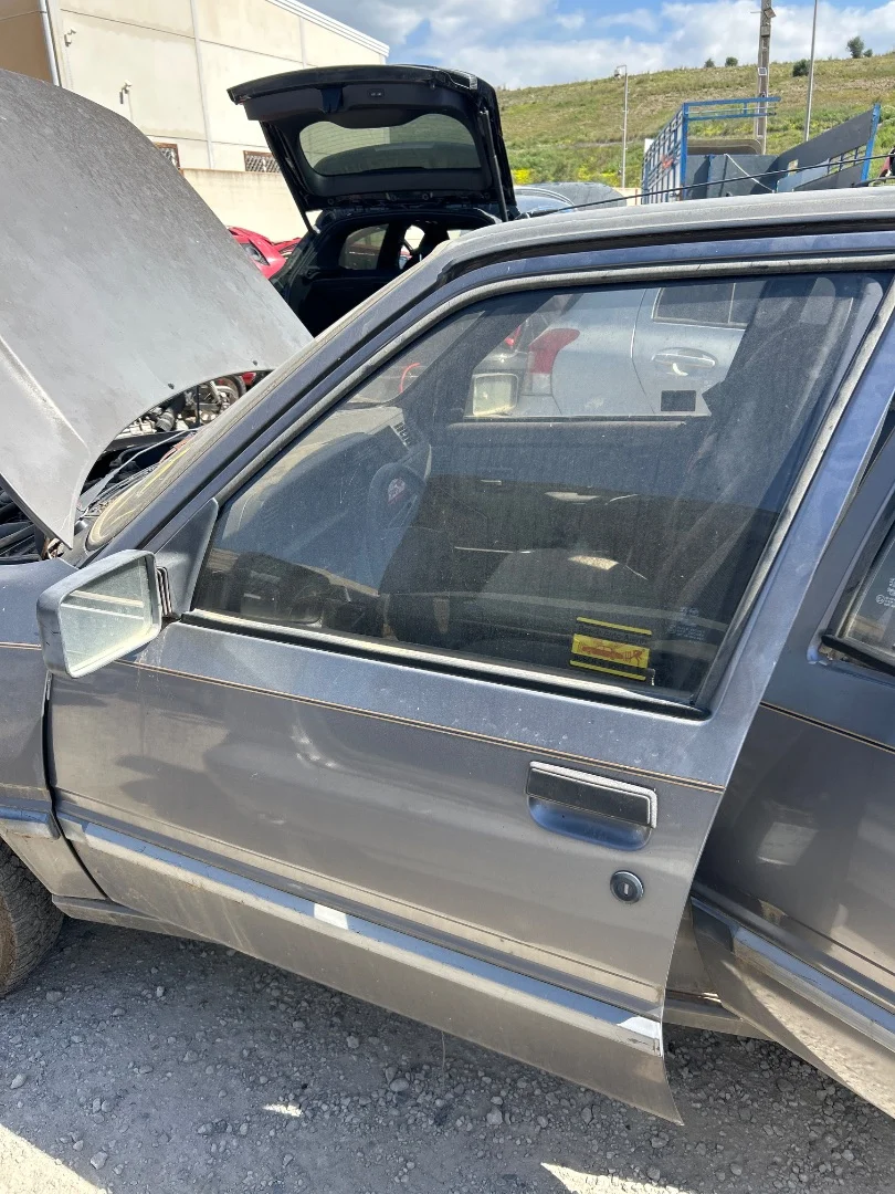 Foto de PUERTA DELANTERA IZQUIERDA PEUGEOT 309 1.6 (88 CV / 65 KW)