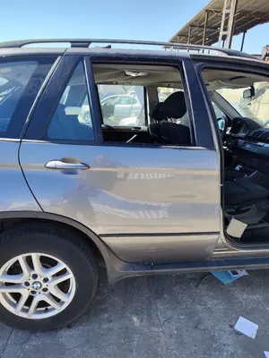 Foto de PUERTA TRASERA DERECHA BMW SERIE X5 (E53) 3.0 Turbodiesel CAT (218 CV / 160 KW)