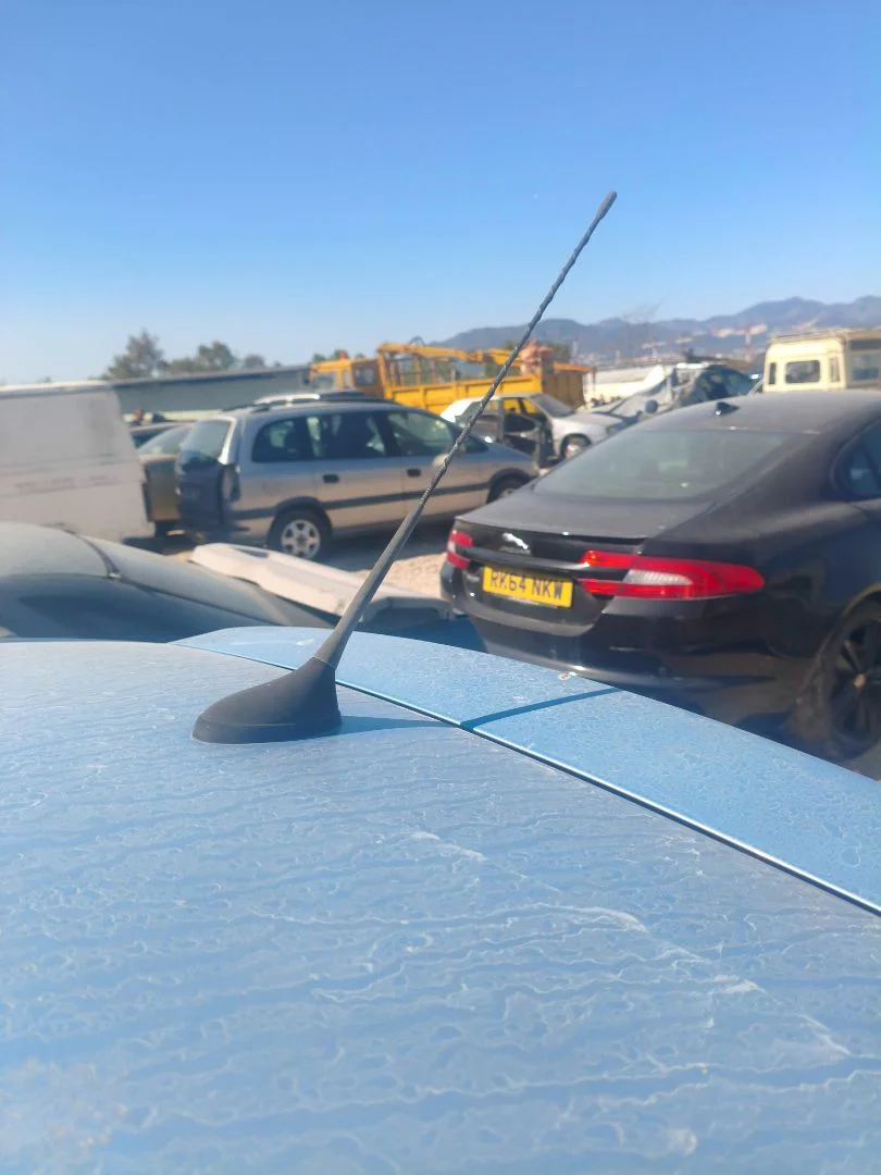 Foto de ANTENA CITROEN C3 1.4 (73 CV / 54 KW)