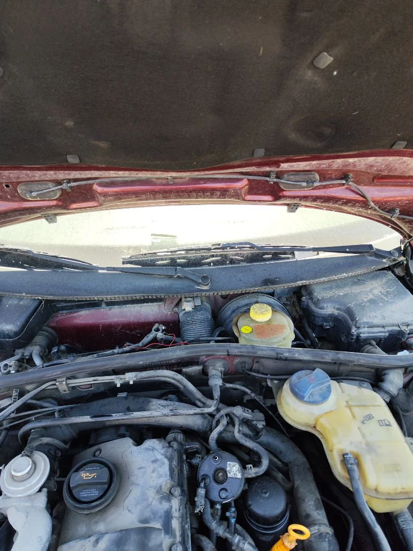 Foto de TORPEDO VOLKSWAGEN PASSAT BERLINA (3B2) 1.9 TDI (116 CV / 85 KW)