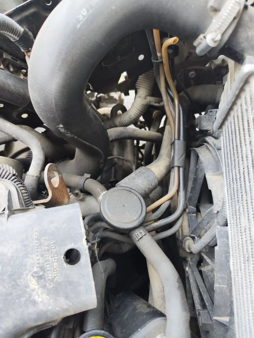 Foto de CAJA CAMBIOS RENAULT KANGOO I (F/KC0) 1.9 dCi Diesel CAT (84 CV / 62 KW) referencia 8200334492