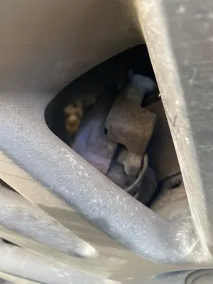 Foto de PINZA DE FRENO TRASERA DERECHA AUDI A4 BERLINA (8E) 1.9 TDI (131 CV / 96 KW)