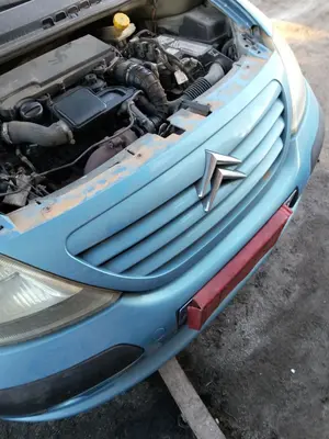 Foto de REJILLA DELANTERA CITROEN C3 1.4 HDi (68 CV / 50 KW) foto 2