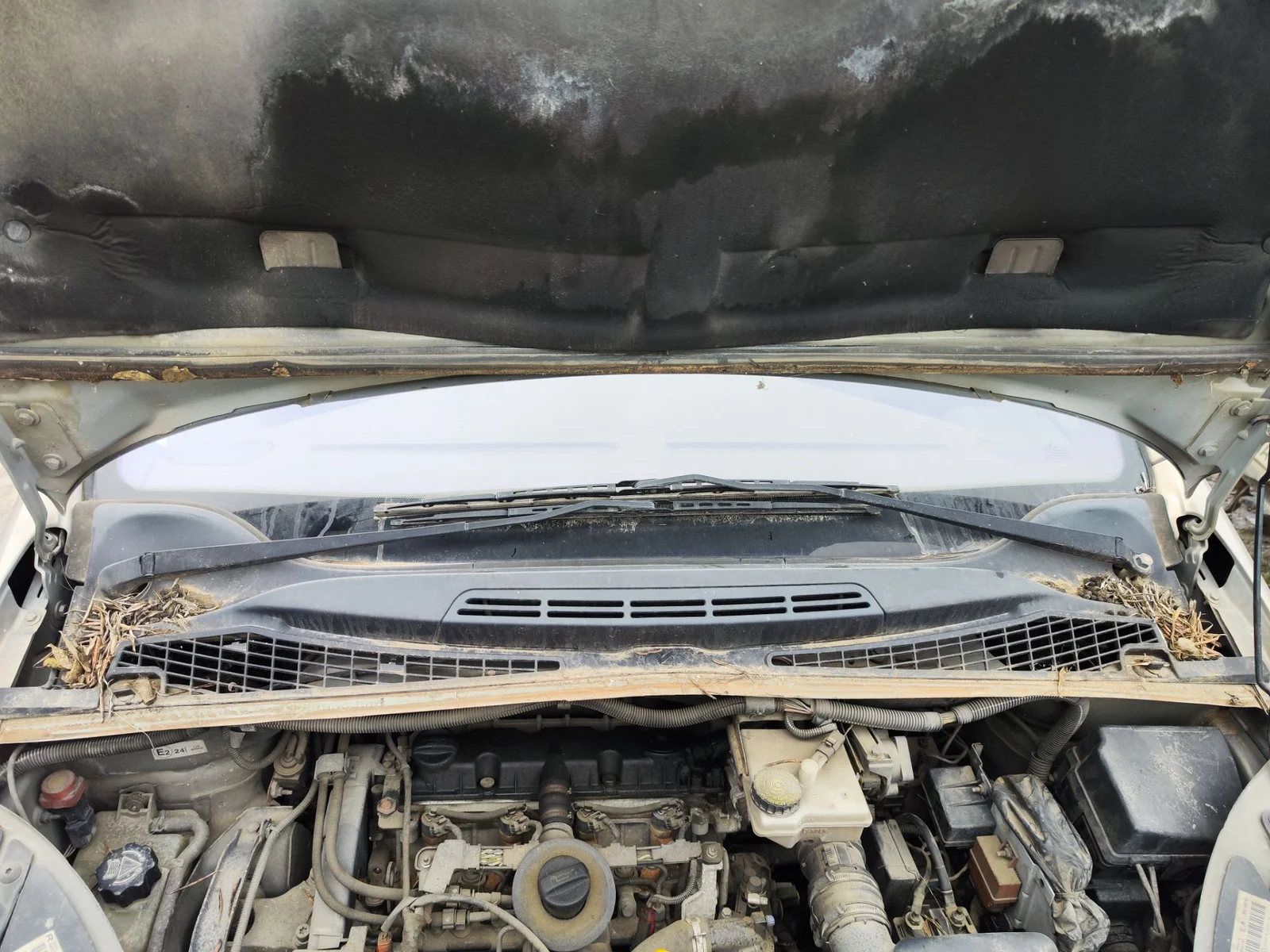 Foto de TORPEDO CITROEN XSARA PICASSO 1.6 16V HDi (90 CV / 66 KW) referencia 8251G8