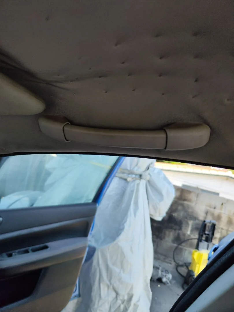 Foto de ASIDERO TECHO DELANTERO DERECHO PEUGEOT 307 (S1)(04.2001) 1.6 16V CAT (109 CV / 80 KW) referencia 9128N7