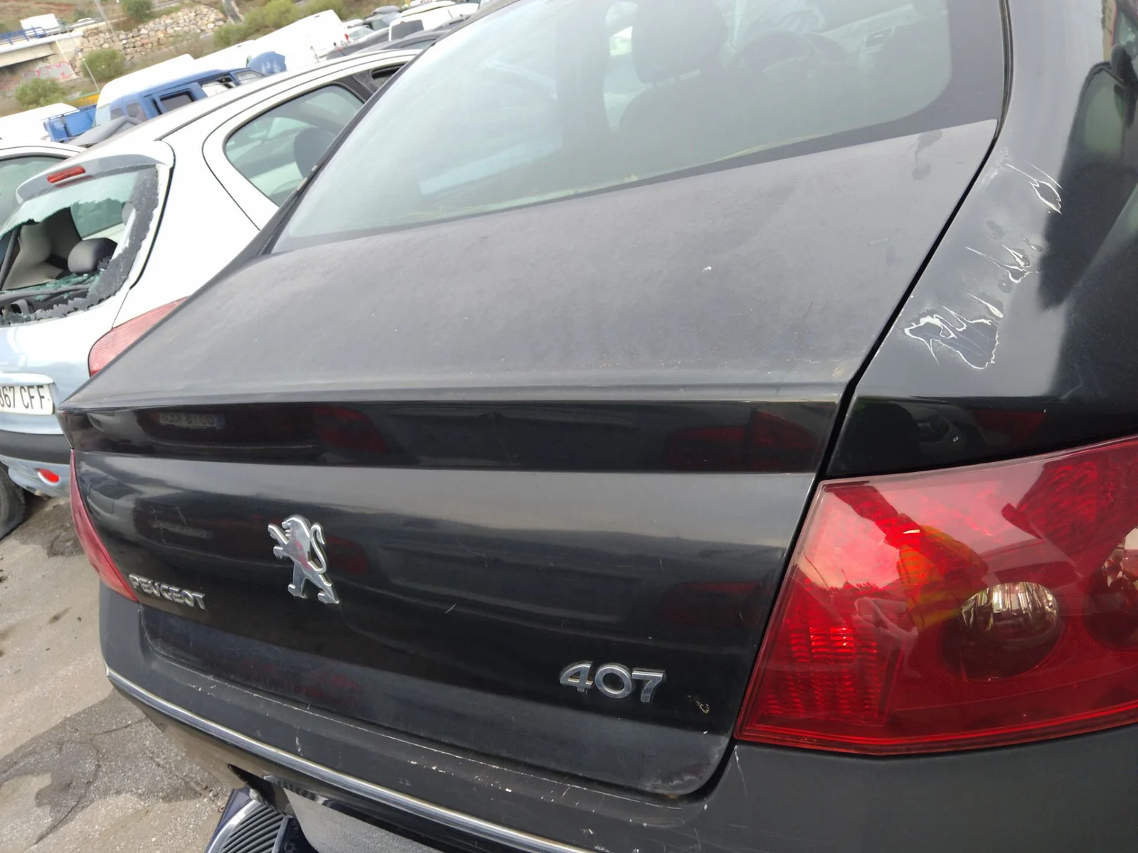 Foto de PORTON TRASERO PEUGEOT 407 2.0 16V HDi FAP CAT (RHR / DW10BTED4) (136 CV / 100 KW)