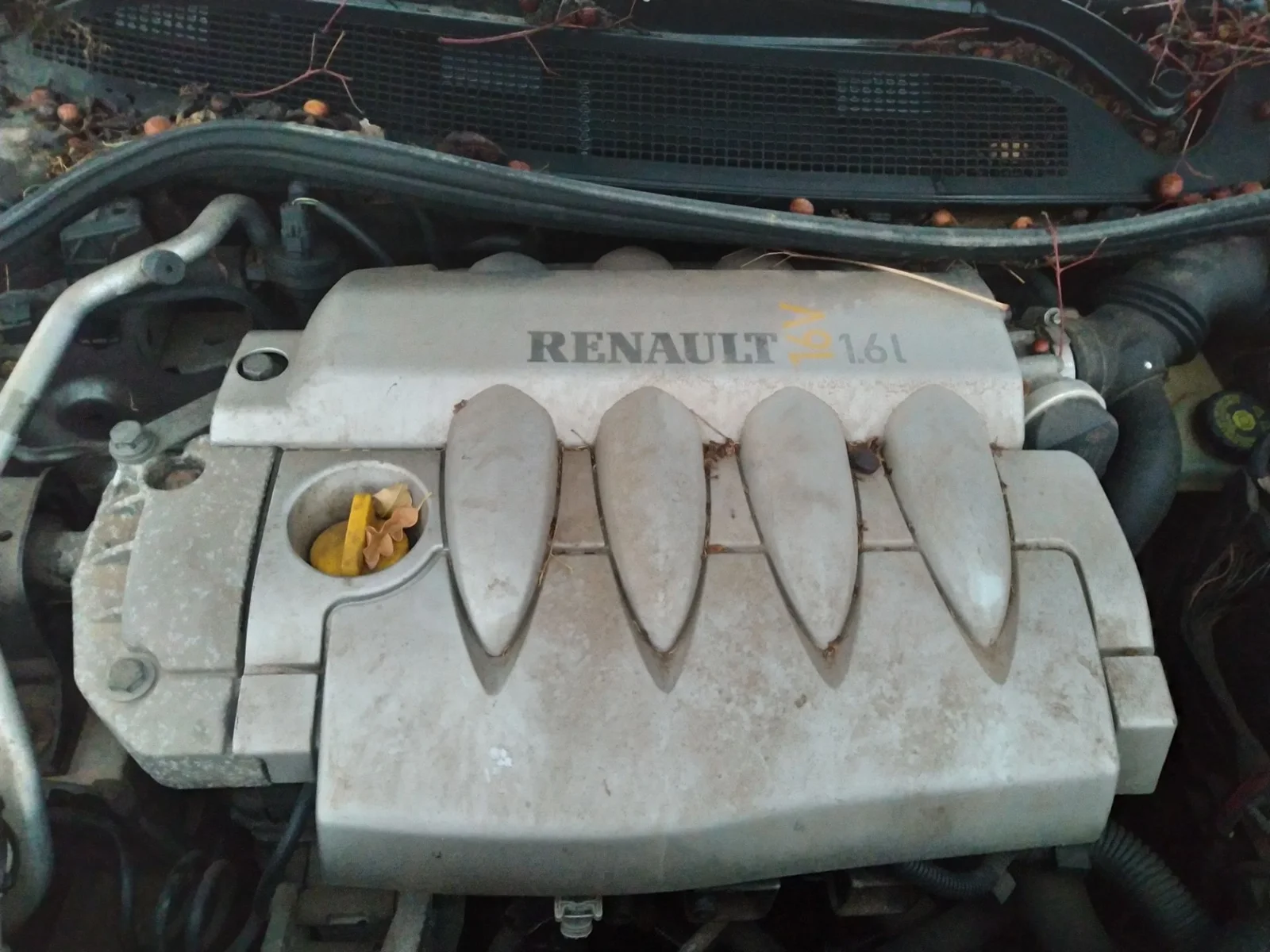 Foto de MOTOR ARRANQUE RENAULT MEGANE II CLASSIC BERLINA 1.6 16V (113 CV / 83 KW) referencia 8200584685