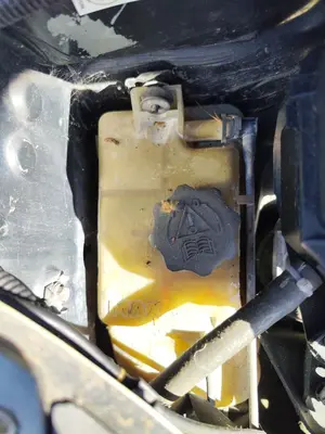 Foto de DEPOSITO EXPANSION CITROEN XSARA PICASSO 1.6 HDi CAT (9HY / DV6TED4) (109 CV / 80 KW)