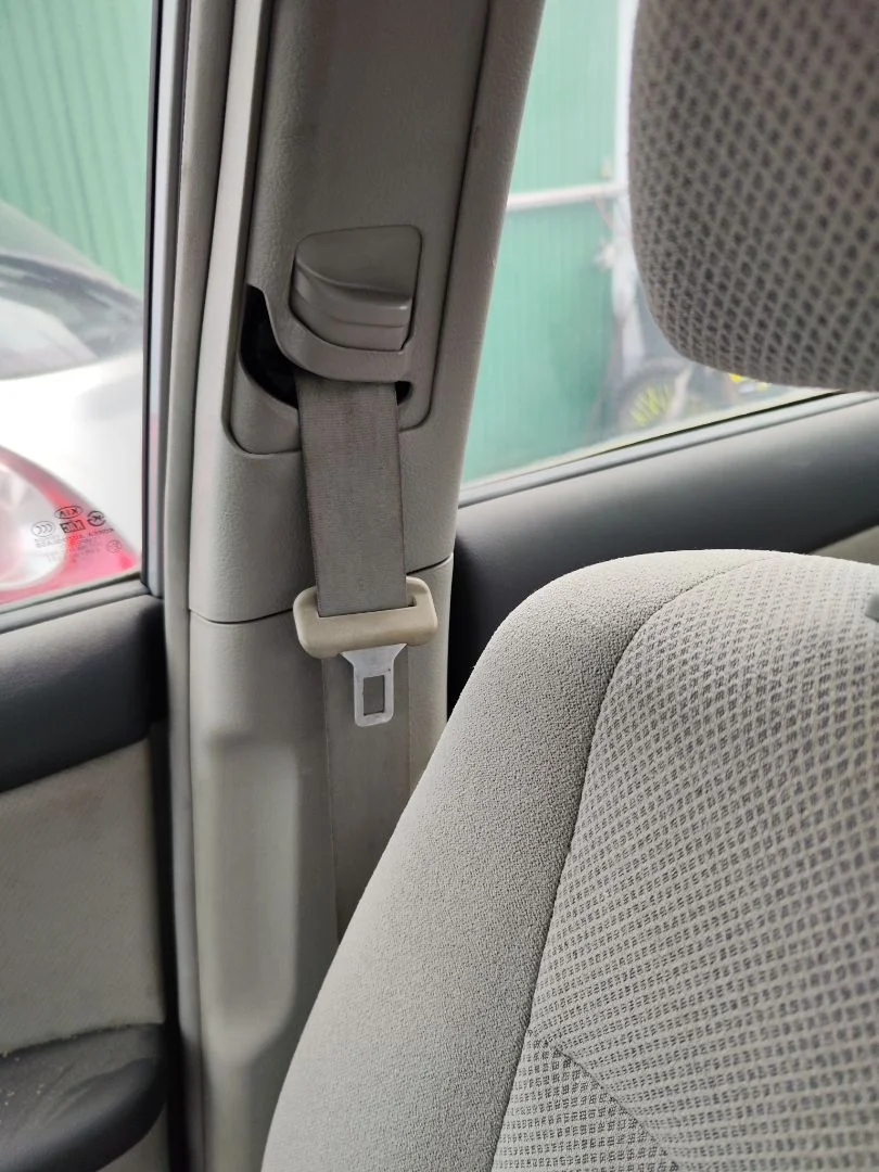 Foto de CINTURON SEGURIDAD DELANTERO DERECHO KIA CERATO (LD) 1.5 CRDi (102 CV / 75 KW) referencia 888202F001