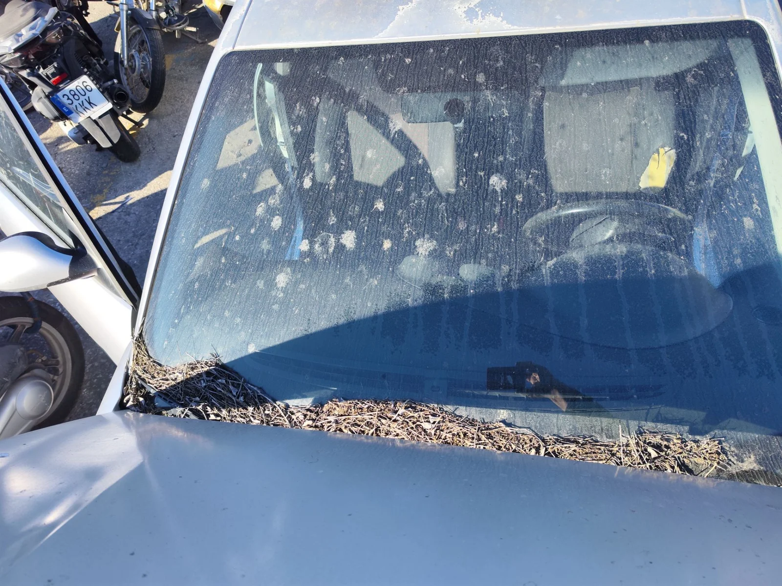 Foto de PARABRISAS SEAT CORDOBA BERLINA (6L2) 1.9 TDI (131 CV / 96 KW) referencia 6L0845011H