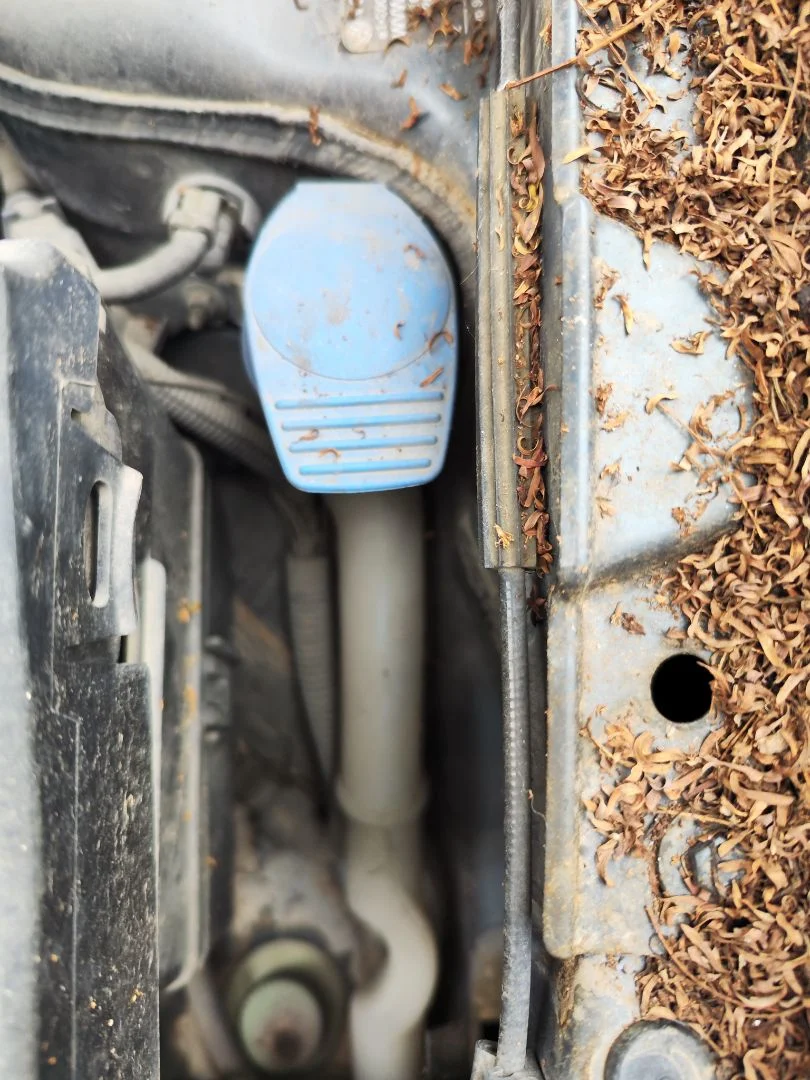 Foto de DEPOSITO LIMPIA VOLKSWAGEN POLO IV (9N1) 1.4 16V (75 CV / 55 KW)