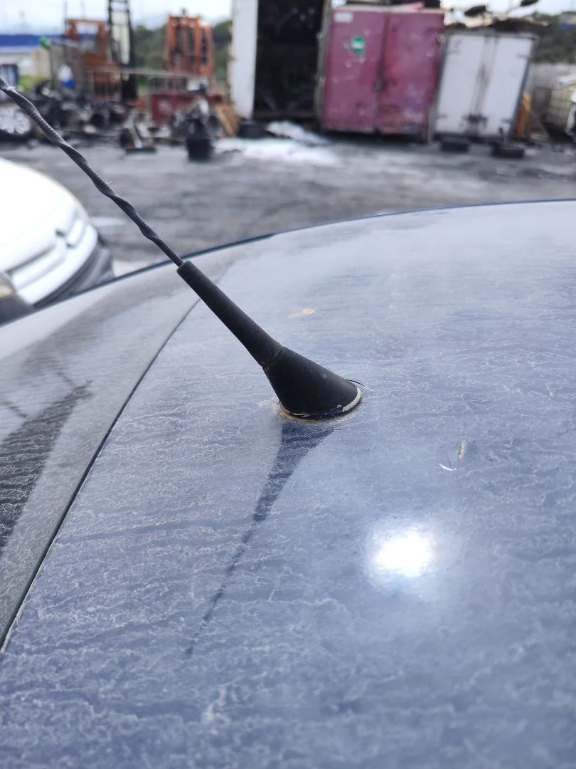 Foto de BASE DE ANTENA VOLKSWAGEN PASSAT BERLINA (3B3) 1.9 TDI (131 CV / 96 KW)