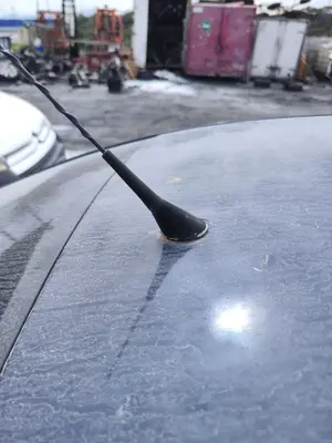 Foto de BASE DE ANTENA VOLKSWAGEN PASSAT BERLINA (3B3) 1.9 TDI (131 CV / 96 KW)