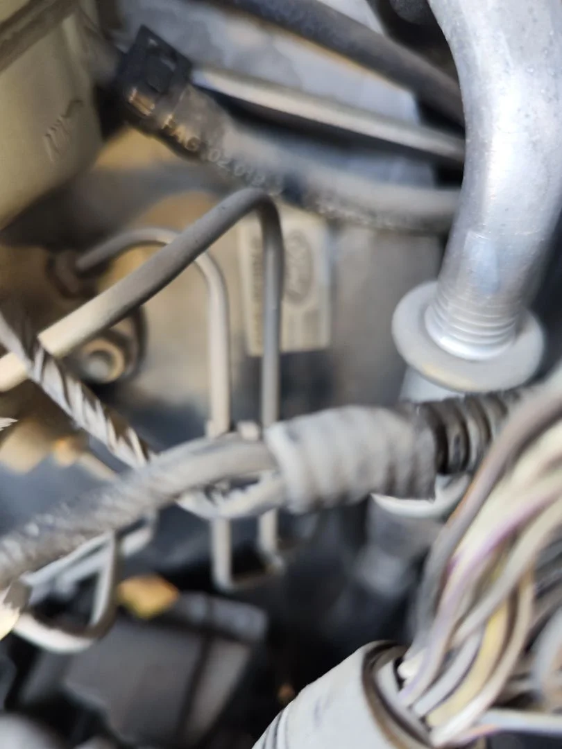 Foto de SERVOFRENO FORD MONDEO BERLINA (GD) 1.8 Turbodiesel CAT (90 CV / 66 KW) referencia 1068762