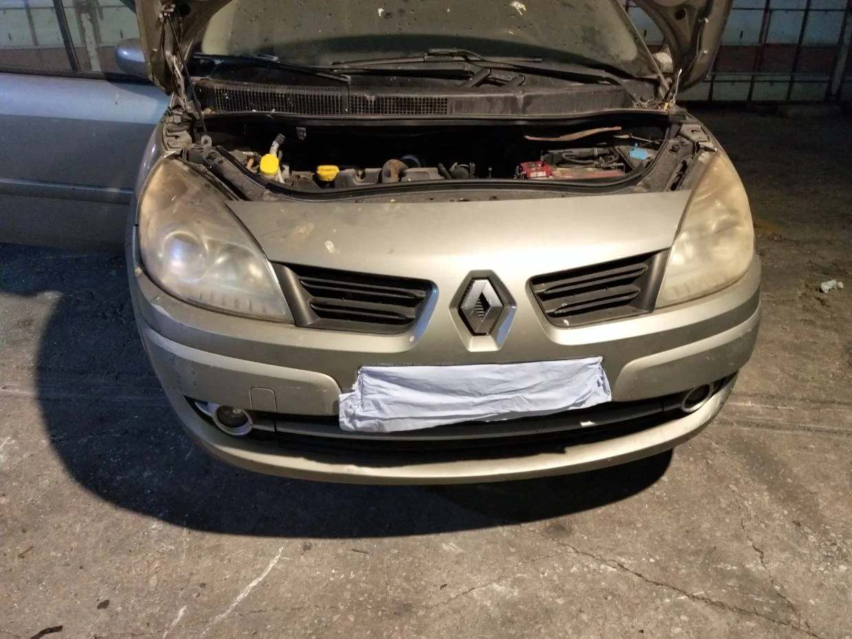 Foto de PANEL FRONTAL RENAULT SCENIC II (JM)
