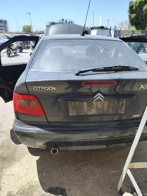 Foto de PORTON TRASERO CITROEN XSARA BERLINA 2.0 HDi CAT (RHY / DW10TD) (90 CV / 66 KW) foto 2