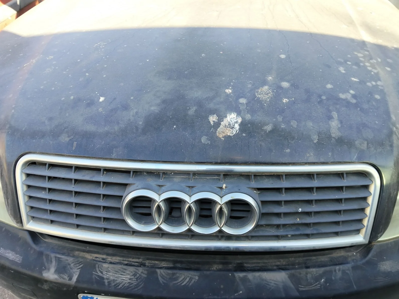 Foto de REJILLA DELANTERA AUDI A4 BERLINA (8E) 1.9 TDI (131 CV / 96 KW)