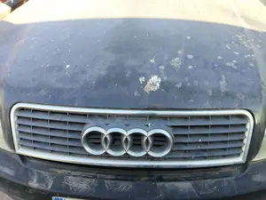 Foto de REJILLA DELANTERA AUDI A4 BERLINA (8E) 1.9 TDI (131 CV / 96 KW)