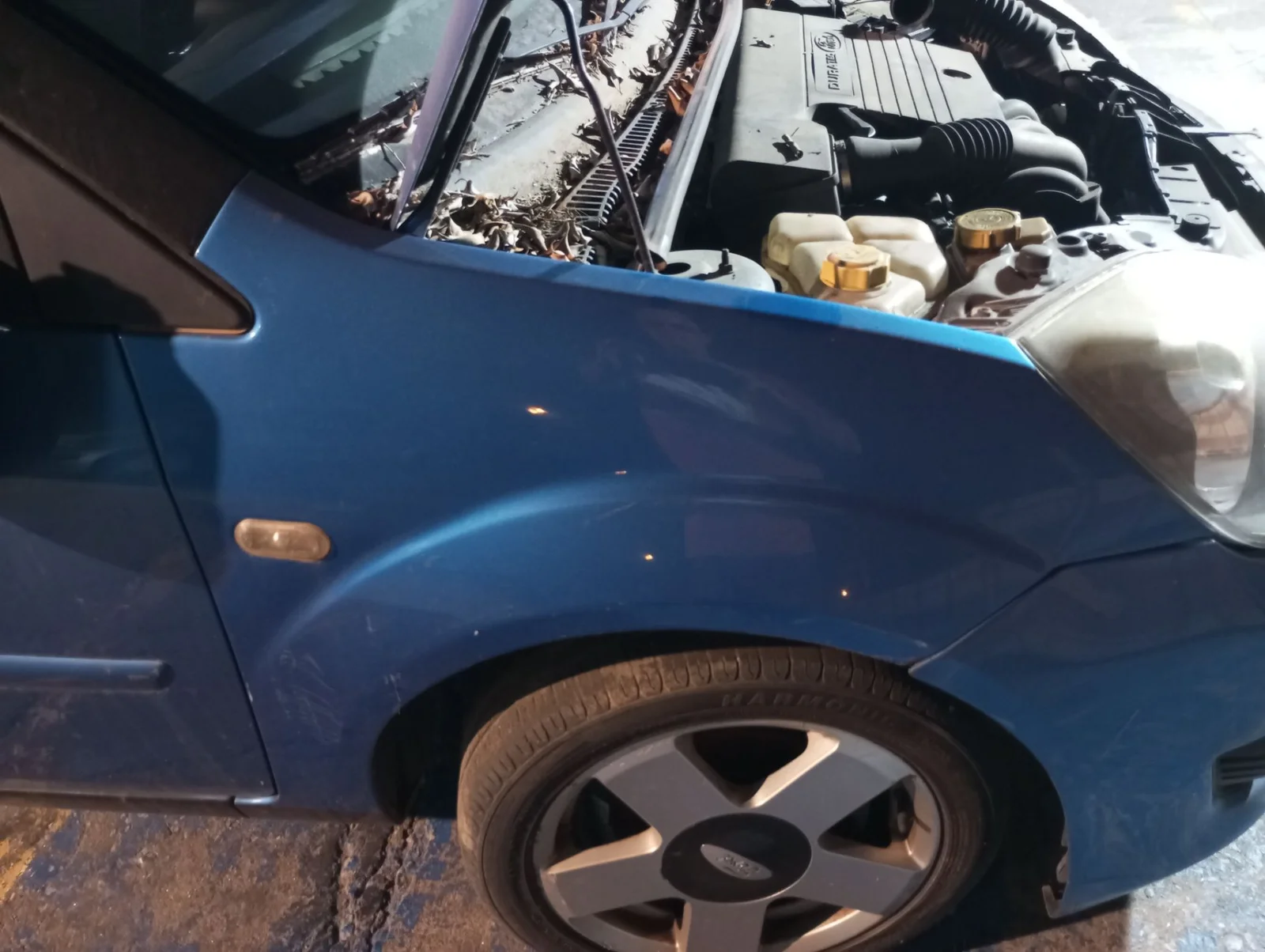 Foto de ALETA DELANTERA DERECHA FORD FIESTA (CBK) 1.25 16V CAT (69 CV / 51 KW) referencia 1528047