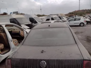 Foto de MANETA EXTERIOR MALETERO / PORTON VOLKSWAGEN PASSAT BERLINA (3B3) 1.9 TDI (131 CV / 96 KW)