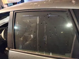 Foto de LUNA TRASERA IZQUIERDA RENAULT SCENIC II (JM)