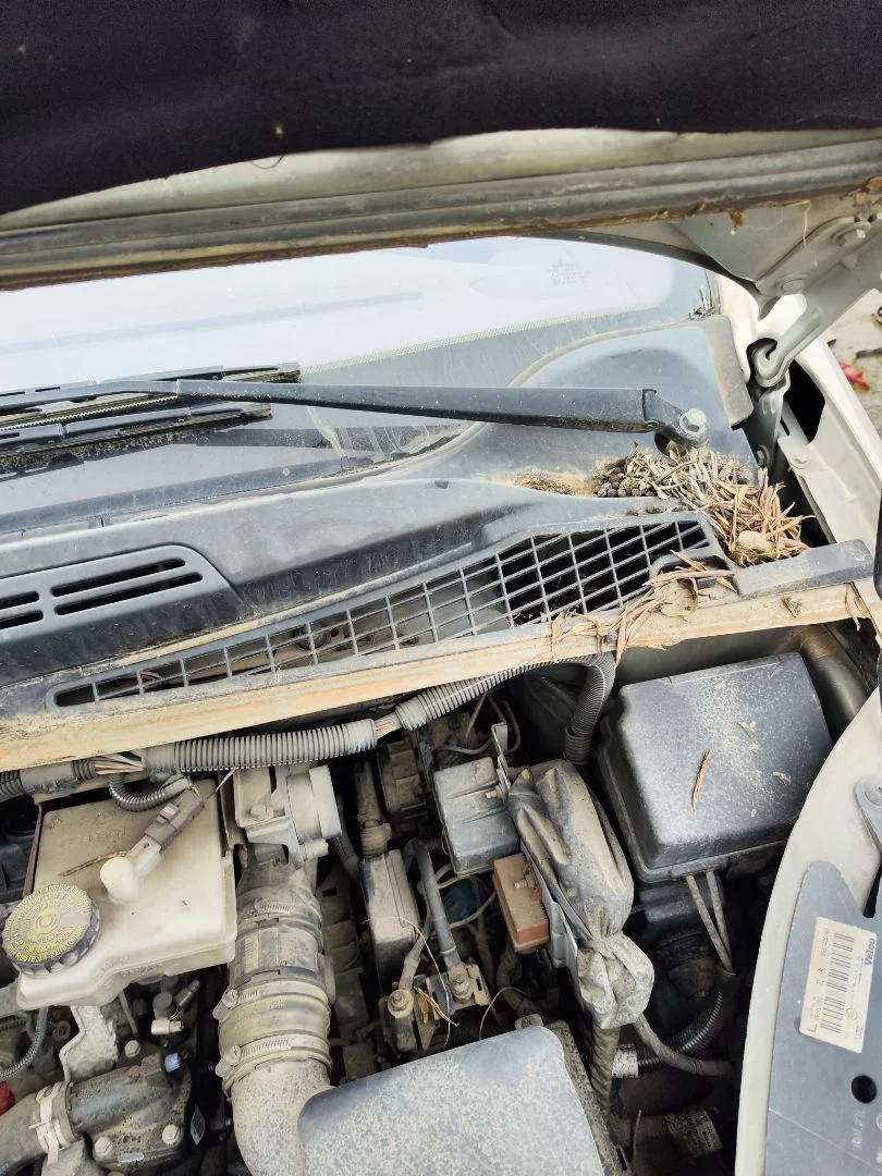 Foto de BRAZO LIMPIA DELANTERO IZQUIERDO CITROEN XSARA PICASSO 2.0 HDi CAT (RHY / DW10TD) (90 CV / 66 KW)