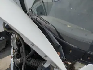 Foto de BRAZO LIMPIA DELANTERO IZQUIERDO FIAT DUCATO II COMBI 2.8 TDI CAT (122 CV / 90 KW)