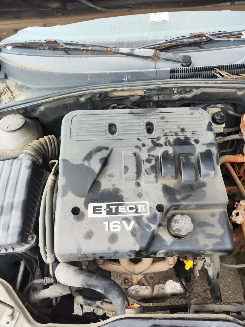Foto de TAPA MOTOR CHEVROLET LACETTI 1.6 CAT (109 CV / 80 KW) referencia 96494377