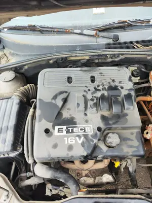 Foto de TAPA MOTOR CHEVROLET LACETTI 1.6 CAT (109 CV / 80 KW) referencia 96494377