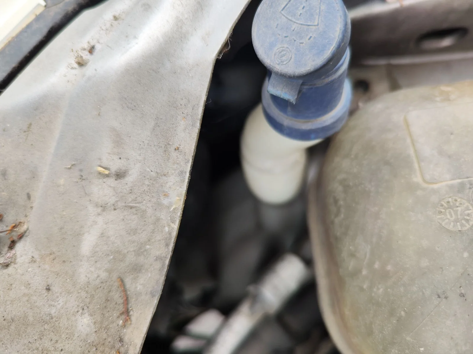 Foto de DEPOSITO LIMPIA FIAT I DOBLÒ (119) 1.9 JTD CAT (105 CV / 77 KW)