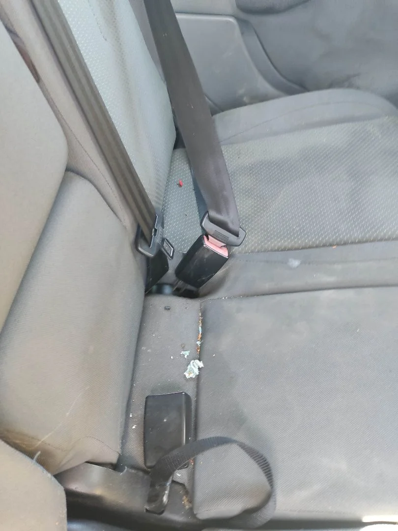 Foto de ENGANCHE CINTURON TRASERO IZQUIERDO SEAT ALTEA (5P1) 2.0 TDI (140 CV / 103 KW)