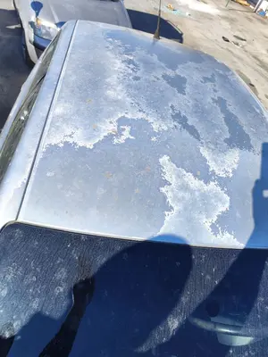Foto de TECHO SEAT CORDOBA BERLINA (6L2) 1.9 TDI (131 CV / 96 KW) referencia 6L5817111
